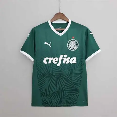 22-23 Palmeiras home