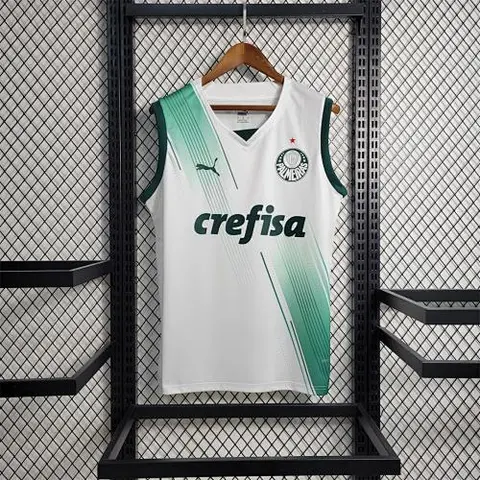 23-24 Palmeiras away tank