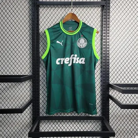 23-24 Palmeiras home tank