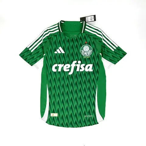 24-25 Palmeiras green special edition jersey