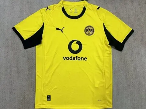 Dortmund 2025/26 yellow special jersey size S-2XL