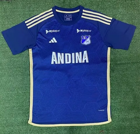 24-25 Hoffenheim home soccer jersey