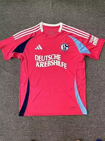 24-25 Schalke 04 Pink Special Jersey