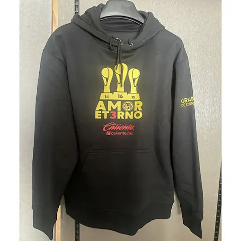 25-26 America Black Champion Edition Hoodi