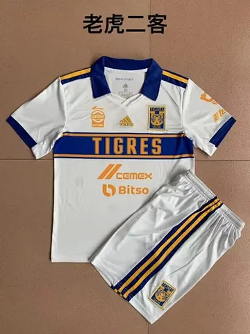 22-23 Tigres third kids kit