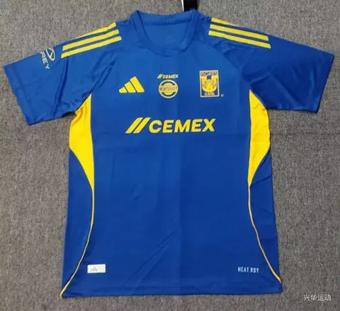 25-26 Tigres blue training jersey