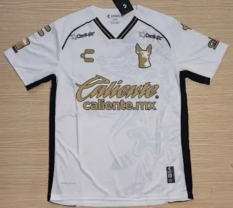 24-25 Tijuana Away Soccer Jersey