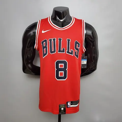 LAVINE #8 Chicago Bulls NBA jersey Size S_XXL Nike connect recognition