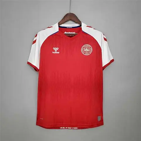 2020 Denmark home