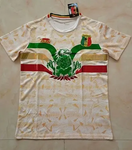 2022 Mali gray training shirt