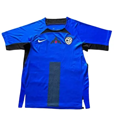 2024 Slovenia home soccer jersey