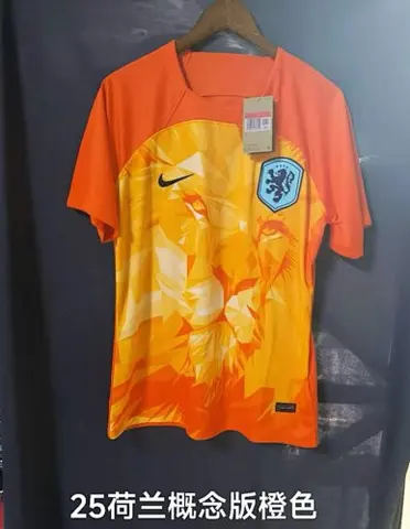 24-25 Netherlands Orange training suit