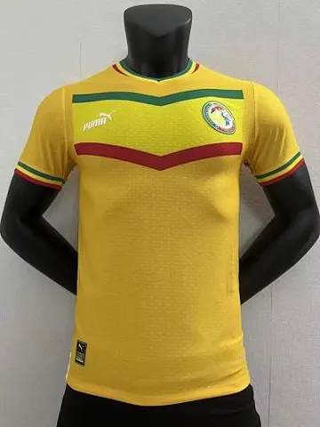 2022 Senegal away yellow player version
