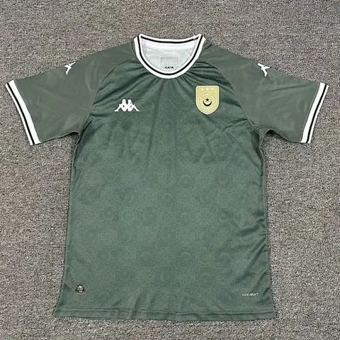2025 Tunisia green special jersey