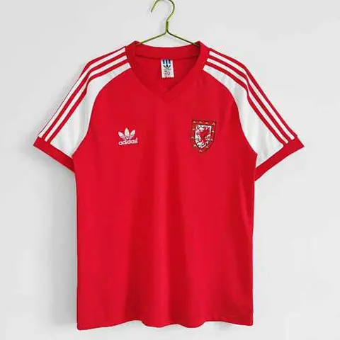 1982 Wales home