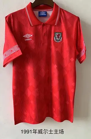 1991 Wales home
