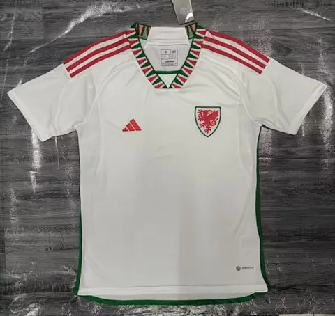 2022 Wales away