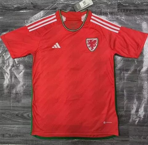 2022 Wales home