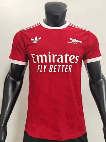 24-25 ASN red traning player version jersey