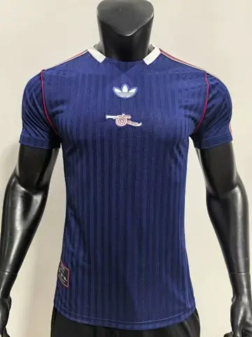 25-26 ASN blue special player version jersey