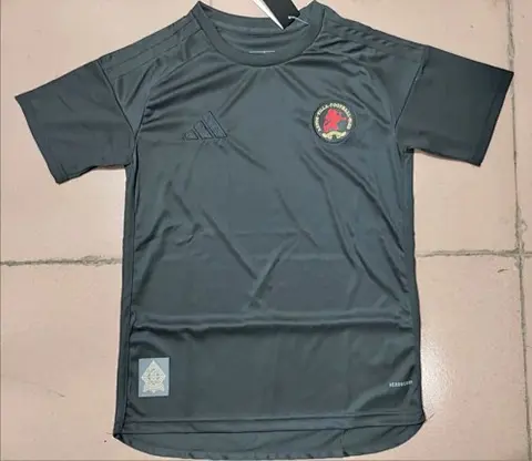 24-25 Aston Villa black Anniversary jersey