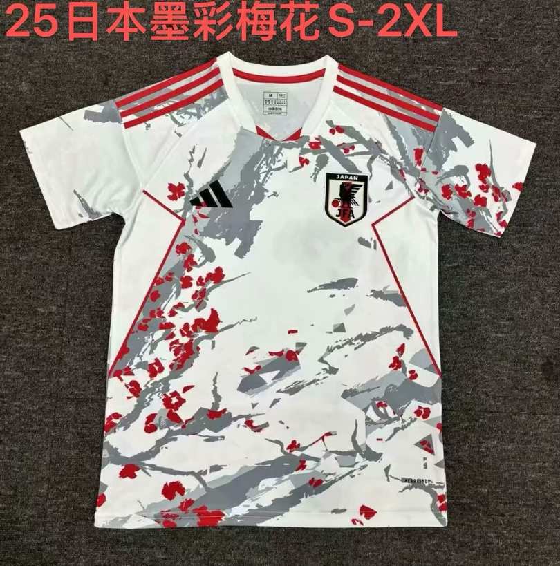 2025 Japan 2025 日本 墨彩梅花