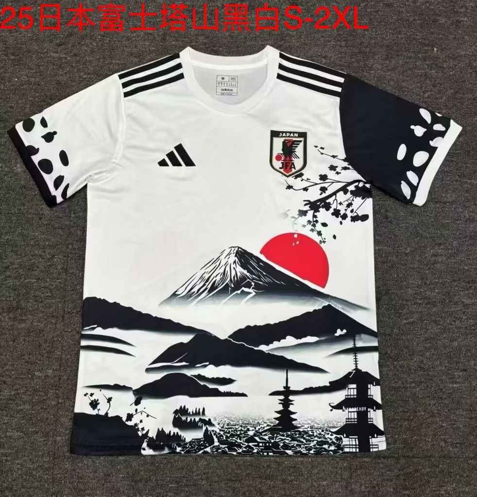 2025 Japan 2025 日本 富士山