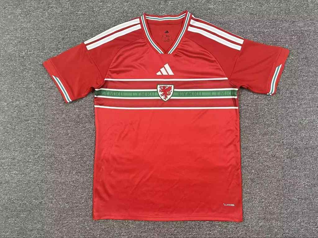 26 27 Wales Home S-4XL 26 27 威尔士 主场 S-4XL