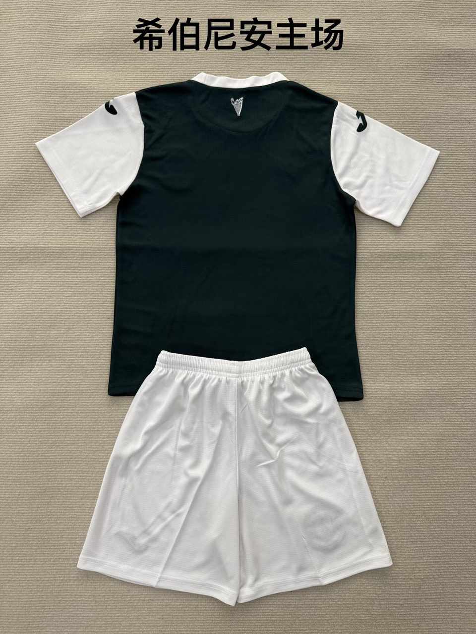 25 26 Hibernian Home Adult Set 25 26 希伯尼安 主场 成人套装