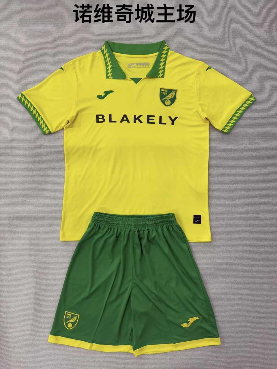25 26 Norwich City home adult kid kits 25 26 诺维奇城 主场 成人套装、童装（16-2XL)