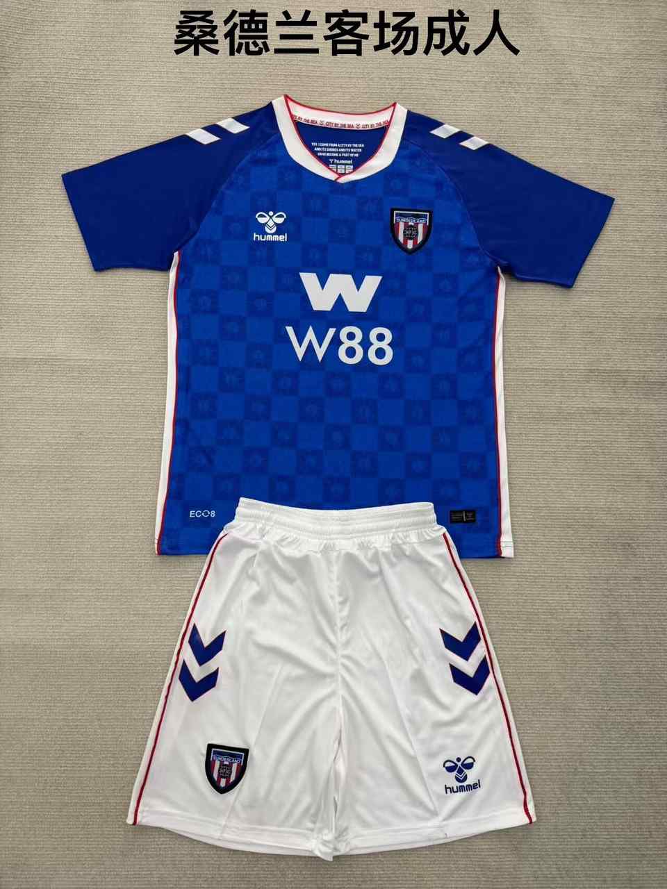 25 26 Sunderland Away adult kits 25 26 桑德兰 客场 成人套装
