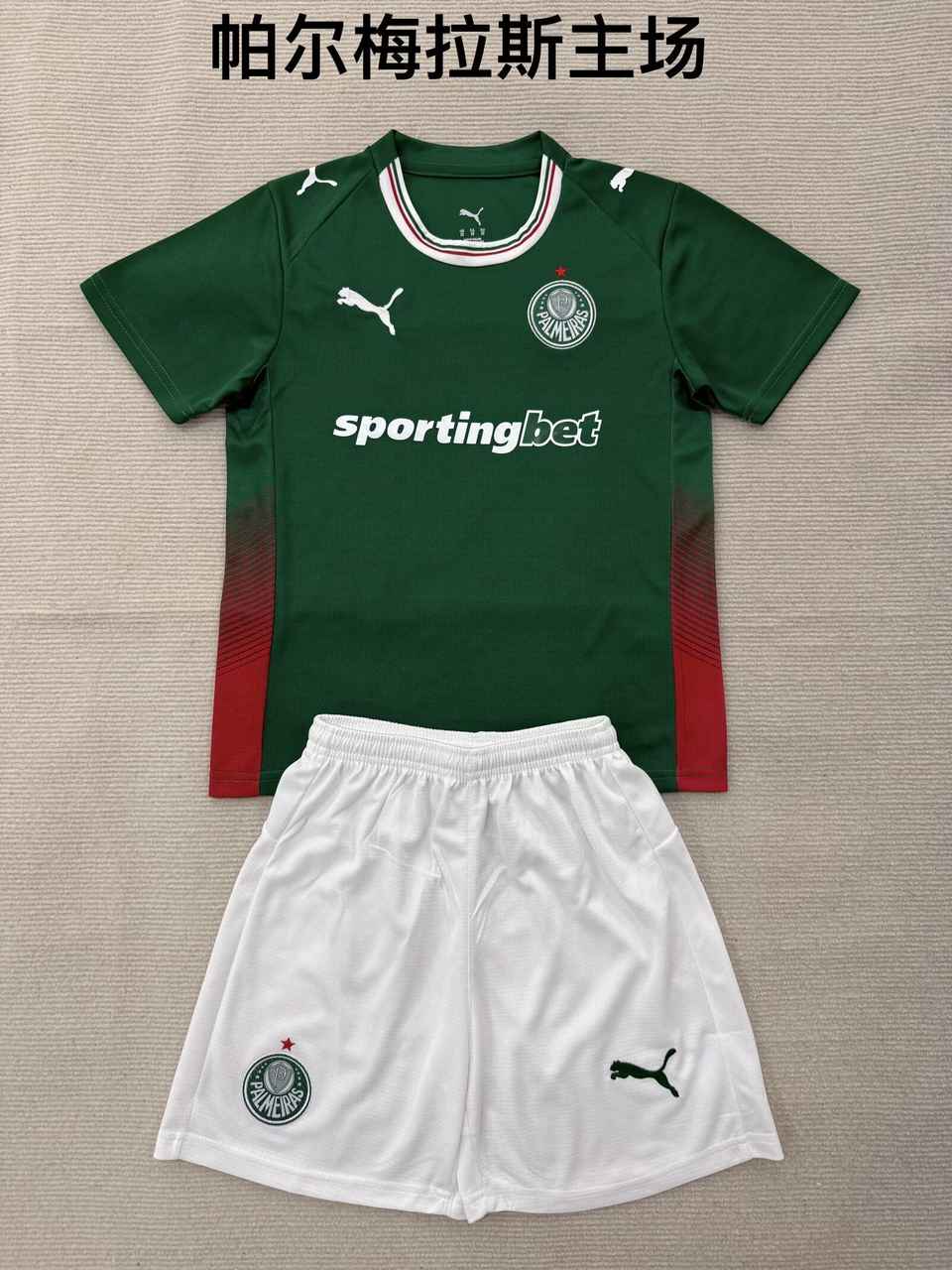26 27 Palmeiras Home Adult Set, Children's Wear (16-2XL) 26 27 帕尔梅拉斯 主场 成人 套装、童装