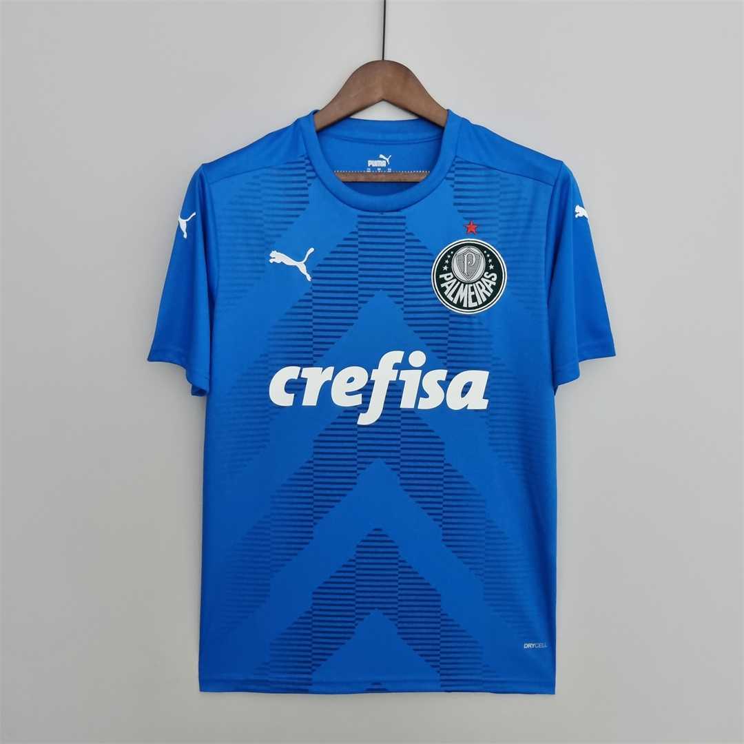 22-23 Palmeiras gardien bleu
