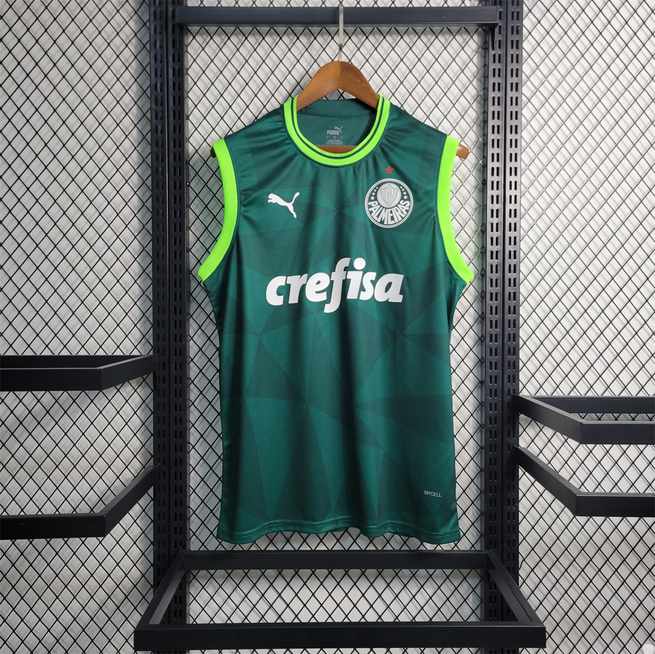 23-24 Palmeiras home tank