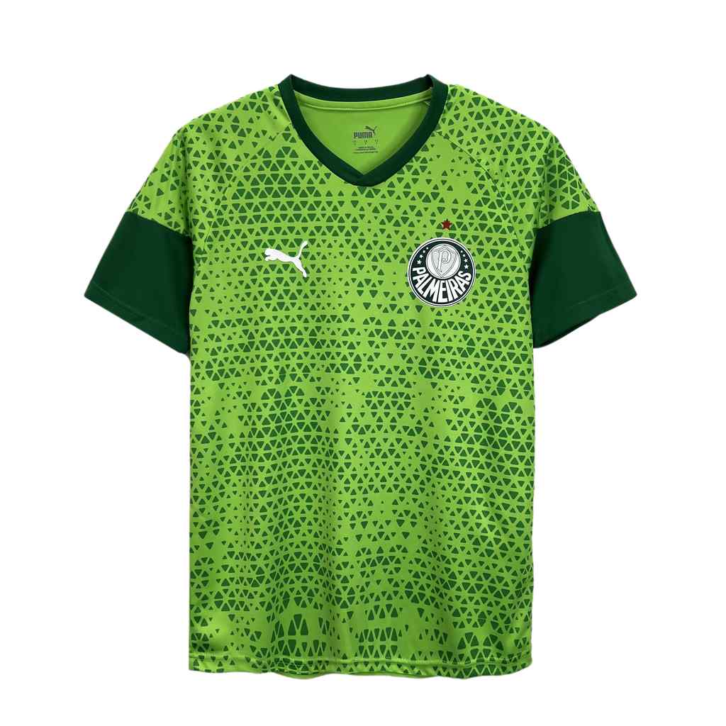 24-25 Palmeiras Training clothes Green