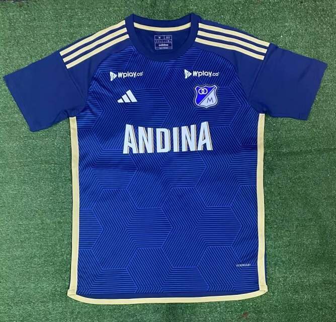 24-25 Hoffenheim home soccer jersey