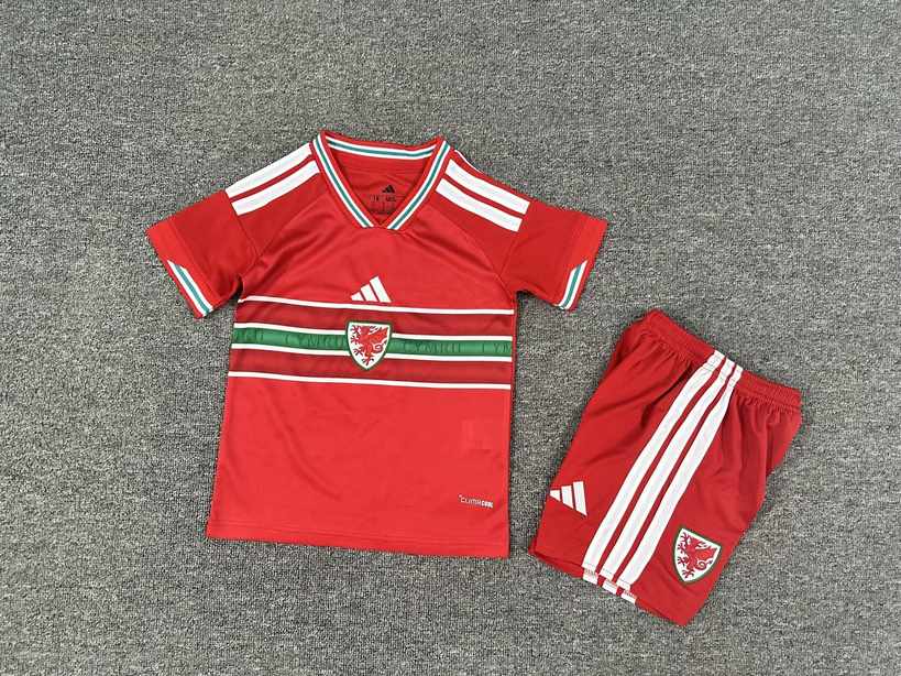 26 27 Wales Home Children's kit 26 27 威尔士 主场 孩子套件