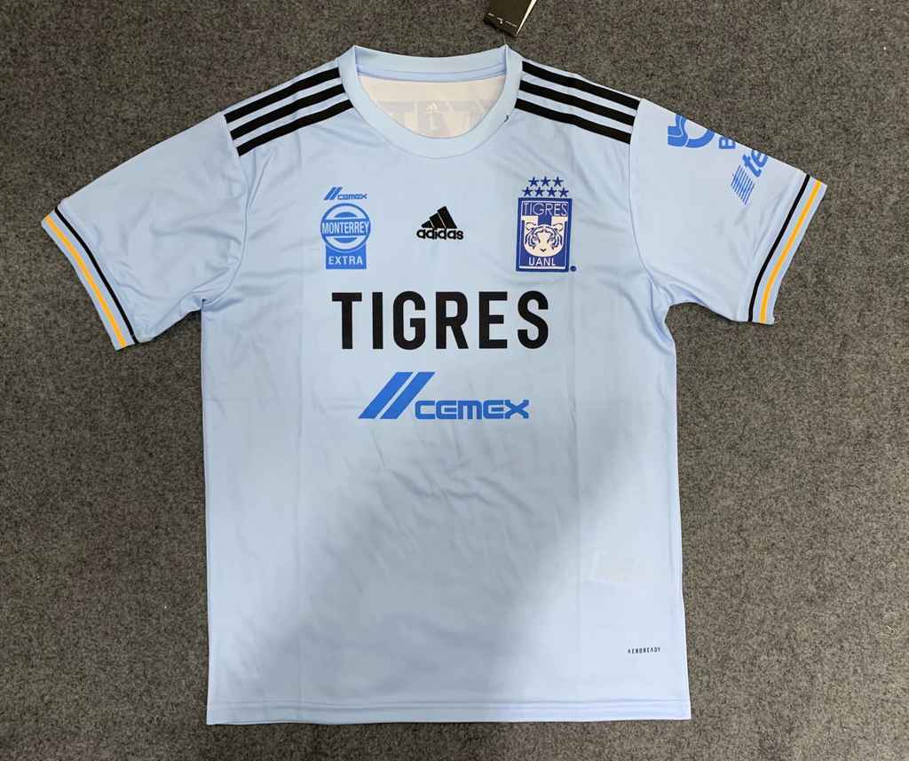 21-22 Tigres extérieur
