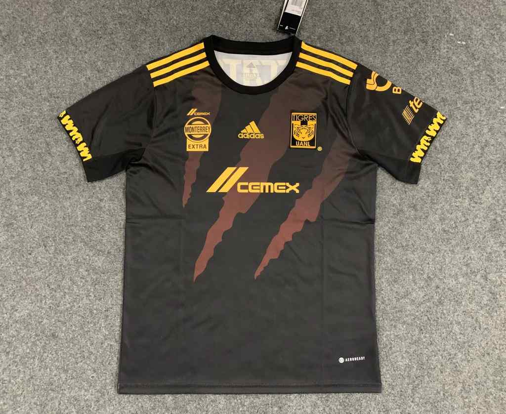 21-22 Tigres troisième tenue