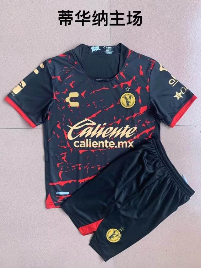 22-23 Tijuana home kit
