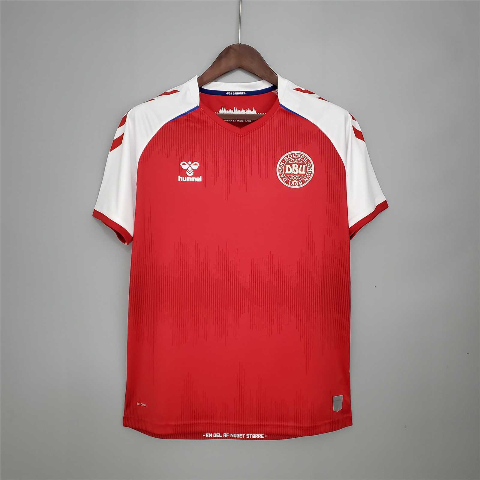 2020 Denmark home