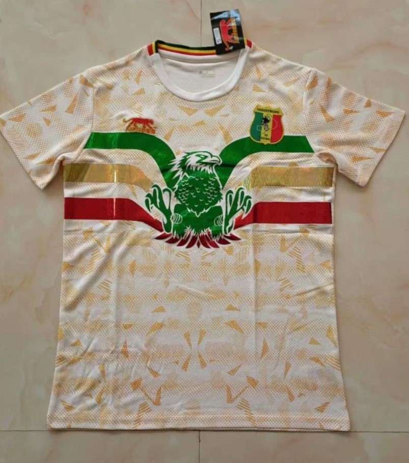 2022 Mali gray training shirt