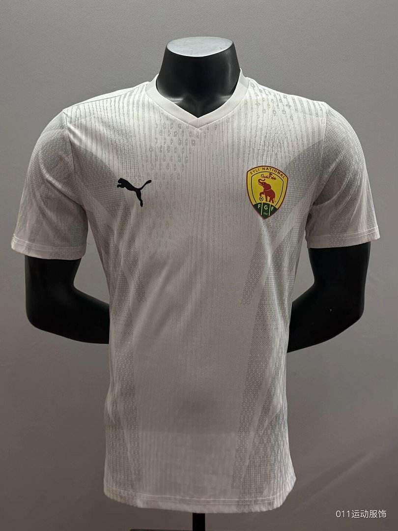 2026/27 Guinee White Away Player Version Soccer Jersey S-XXL