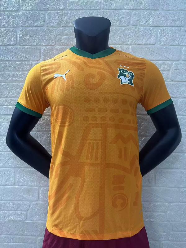 24-25 Ivory Coast home player version jersey