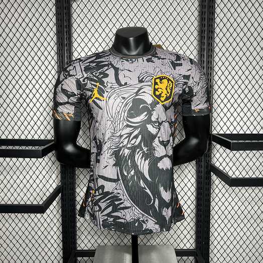 Maillot de football Pays-Bas Euro Jordan version — 2024 · Version joueur