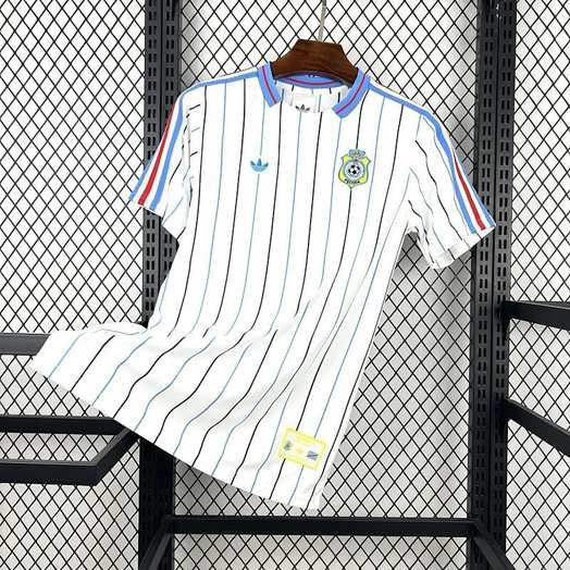 Maillot de football adulte DR Congo Terrace Icons — 2026