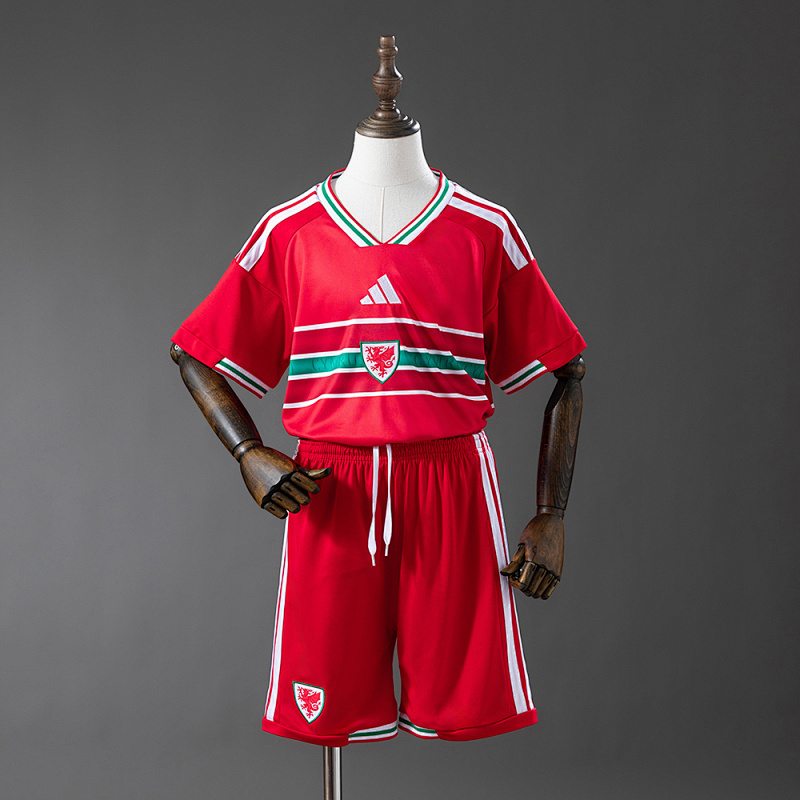 Wales 2026 Home Kids Kit Jersey Size 16-28