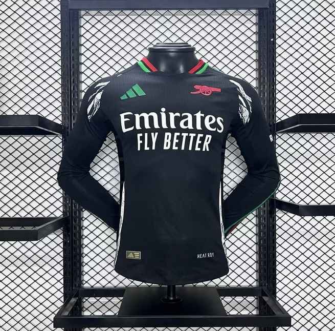 24-25 ASN away long sleeve player version jersey